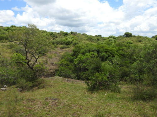Chacra En Venta Excelente Oportunidad De Inversión Rural