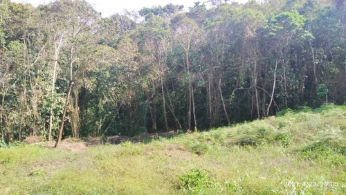 Imagen 5 de 13 de Venta De Lote De Terreno De Cuatro Hectáreas San Diego Carrizal