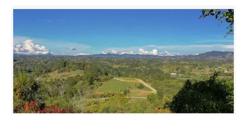 Lote En Venta En Rionegro. Cod V11136