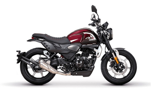 Imagen 3 de 17 de Gilera Ac4 250