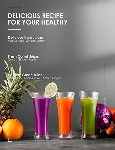Exprimidor Y Extractor De Jugos Aicok Libre De Bpa, De Acero