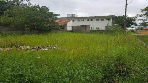 Terreno Lado Praia De 490 Mts Escriturado - 5344 | Npc