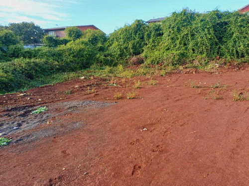 Vendo Terreno Lomás De San Andrés (96190)