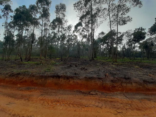 Imagem 6 de 14 de Vendo Terrenos - 1000m² Proximo A Represa Itupararanga