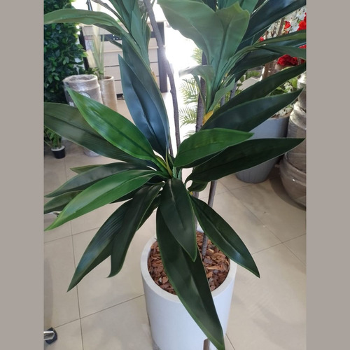 Arvore Dracena Cordyline Grande Verde Artificial Mambo