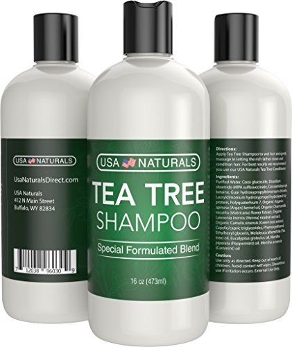 Champú Aceite Árbol Té Tea Tree Sin Sulfato Revitaliza Cuero