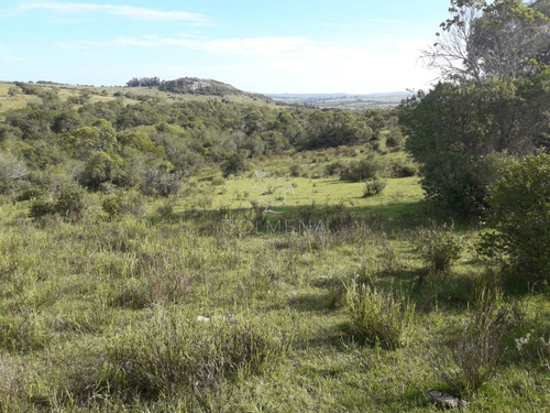 Imagen 10 de 14 de Campo Cerca De Pueblo Eden - Consulte !!!!!!! - Pueblo Eden