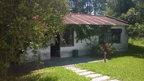 Imagen 8 de 14 de Se Vende Casaquinta Emplazada En 1 Hectárea Sobre Ruta 41
