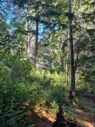 Imagen 20 de 29 de Terreno Lote En Venta Ubicado En Villa Campanario, Bariloche, Patagonia