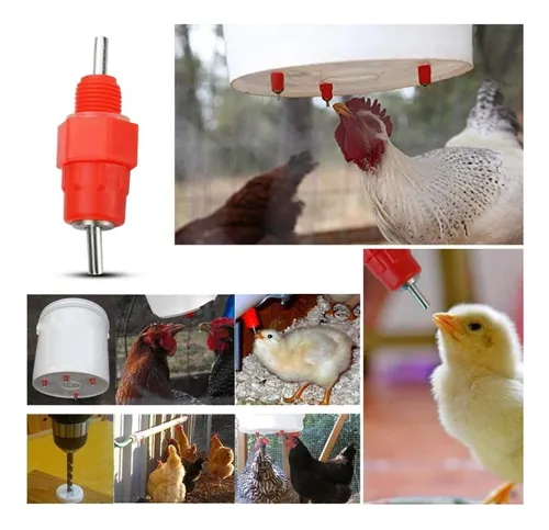 Niple Pollo 360 Gallina 10 Unid
