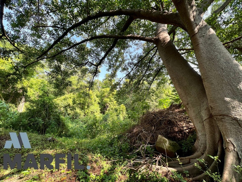 Terreno Comercial En Renta Colima Norte Arbolado Barranca Ri