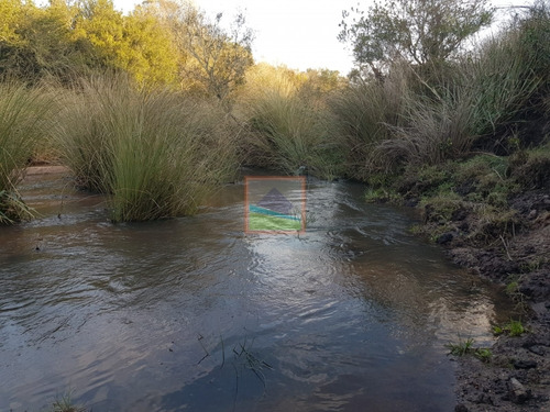 Imagen 2 de 14 de Campo 31 Hás Garzón Bajo