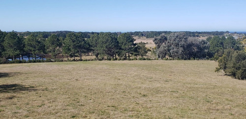 Imagen 7 de 30 de Chacra En Venta, Fraccion De 20 Has En Jose Ignacio (ref: Atm-6766)