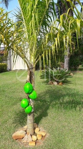 Chácara À Venda Em Loteamento Chácaras Vale Das Garças - Ch003708