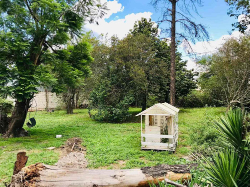 Imagen 3 de 18 de Hectarea + Galpon + Casa Venta A Metros De Ruta 26