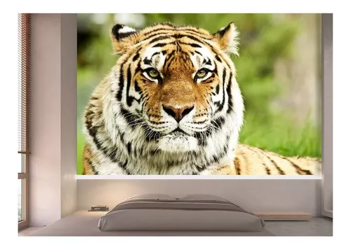 Novo 3d vívido animal tigre sentado adesivos de parede sala estar quarto  decoração adesivos de parede