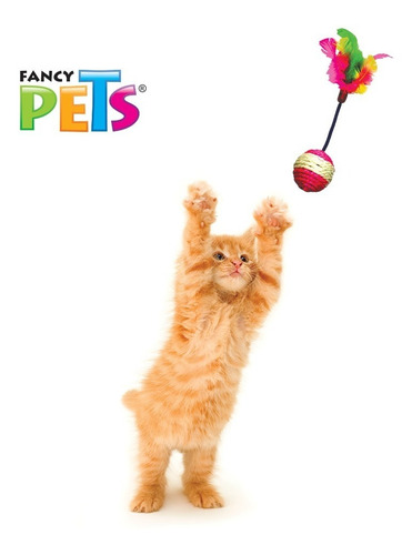 Imagen 3 de 3 de Caja Con 48 Juguetes Rascadores Para Gatos Surtidos Ratones