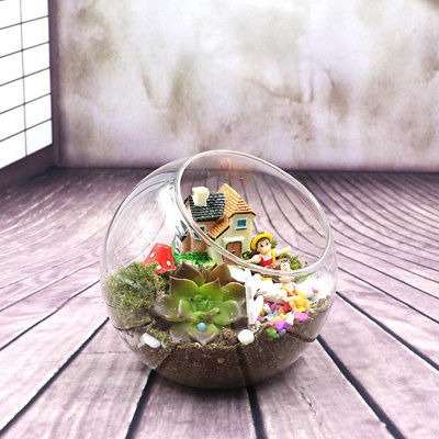 6 Piezas Mesa Planta Terrario Pantalla Aire Flor Florero Mac