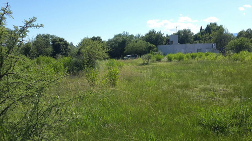 Vendo Dos Terrenos - 1000 M2 C/u En San Luis - Dueño Directo