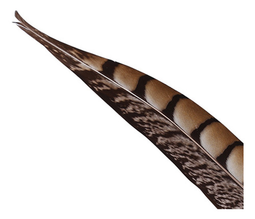 Pluma Estilográfica, Pluma Antigua, Papelería