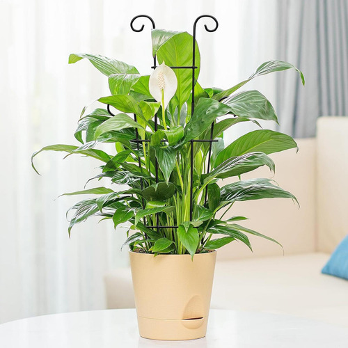 Soporte Para Plantas En Macetas Enrejado Para Plantas Trepad