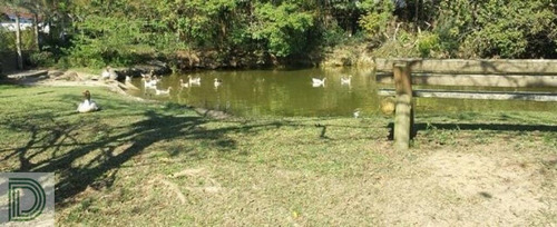 Imagem 7 de 15 de Belíssima Casa Nova E Totalmente Térrea - Di27092