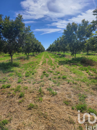 Venta Terreno 0 Ambiente San Isidro Río Grande