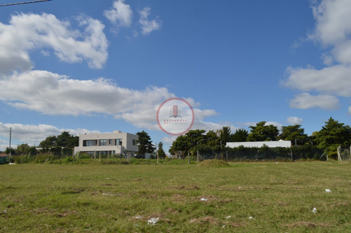 Imagen 5 de 5 de Terreno Lote En Venta Ubicado En Joaquín Gorina, La Plata