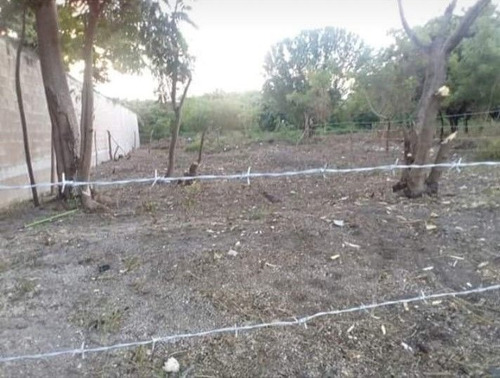 Imagen 1 de 3 de Terreno En Isla Aguada