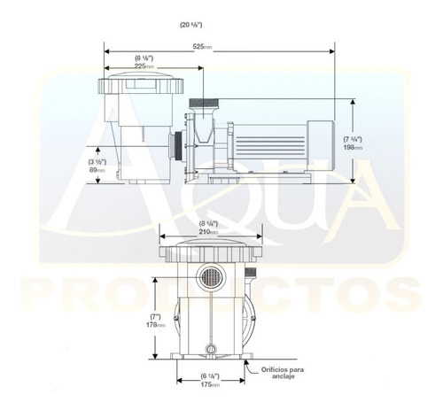 Imagen 4 de 8 de Motobomba Para Alberca Marca Sibrape Aeris 3/4 Hp Vertex