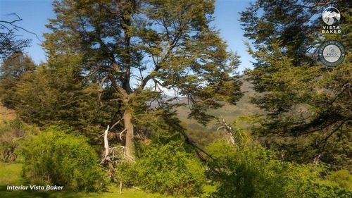 Imagen 3 de 8 de Parcela En Venta En Rio Baker, Cochrane, Carretera Austral