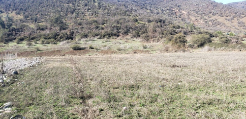 Imagen 14 de 15 de Increíble Parcela De 5000, Caminos Las Guias,naltagua