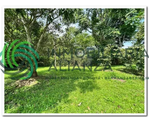 Lote En Venta En Vereda Los Cauchos. Cod V61225