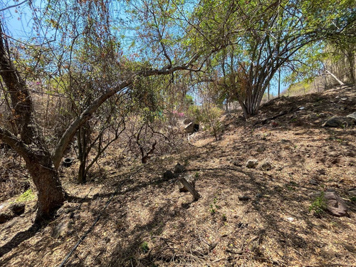 Terreno En Tequesquitengo Con Vista Al Lago