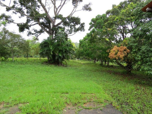 Imagem 14 de 15 de Casa Para Venda Em Camaçari, Barra Do Pojuca, 2 Dormitórios, 1 Banheiro, 5 Vagas - 349_1-1401400