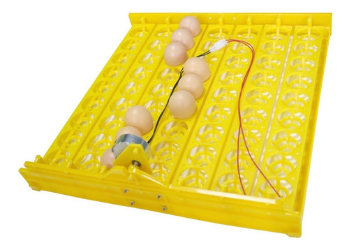 Incubadora De 63 Piezas Bandeja Automática De 63 Huevos