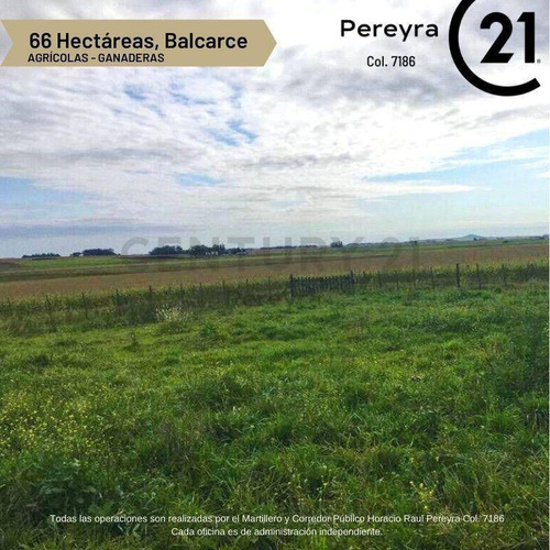 Imagen 9 de 9 de 66 Hectareas Agricolas -ganaderas, En Venta, Balcarce