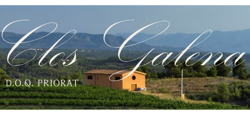 Vino Tinto Español D.o.q. Priorat 750ml Clos Galena