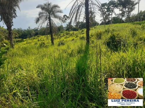 Imagem 15 de 15 de Fazenda À Venda Em Dois Irmãos - To - De 13 Alqueirões (dupla Aptidão) - 1687