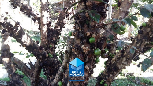 Imagem 15 de 15 de Chácara À Venda Com 5.000 M² No Bairro Dos Frades - Ch-120-1