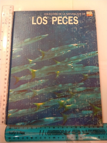 Colección De La Naturaleza De Los Peces