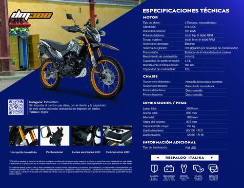 Motocicleta Italika Dm300