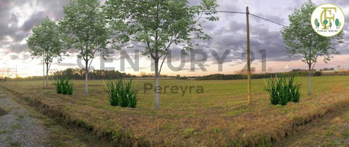 Imagen 6 de 8 de 147 Y 486 - Lote En Venta, Fincas De Gorina
