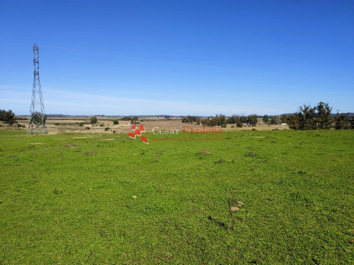 Venta - Chacra De 10 Has En Zona De Paraje De Los Ceibos- Ref: 1418