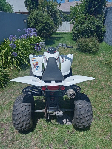 Imagen 13 de 14 de Yamaha Raptor 350