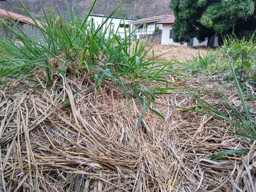 Imagem 15 de 21 de Área No Mangabeira, Bh - 1710