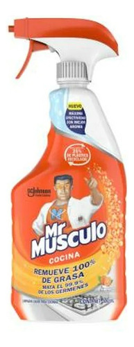 2 Pzs Limpiador Líquido Mr Músculo Desengrasante Para Cocina