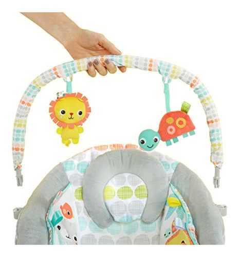 Bright Starts Comfy Baby Bouncer Soothing Vibrations Infant