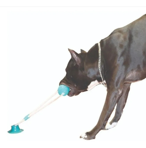 Juguete Rellenable De Succión Para Perro Dental, Color Azul/Verde/Rosa