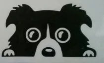 Comprar Vinilo Adhesivo Perro Border Collie